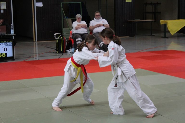 Judo,Kinder