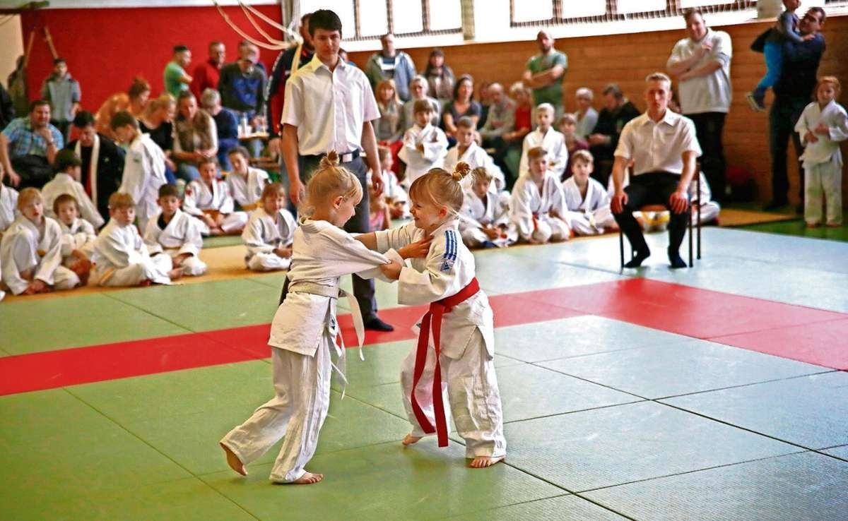 Judo Zwerge in Bautzen / Sachsen