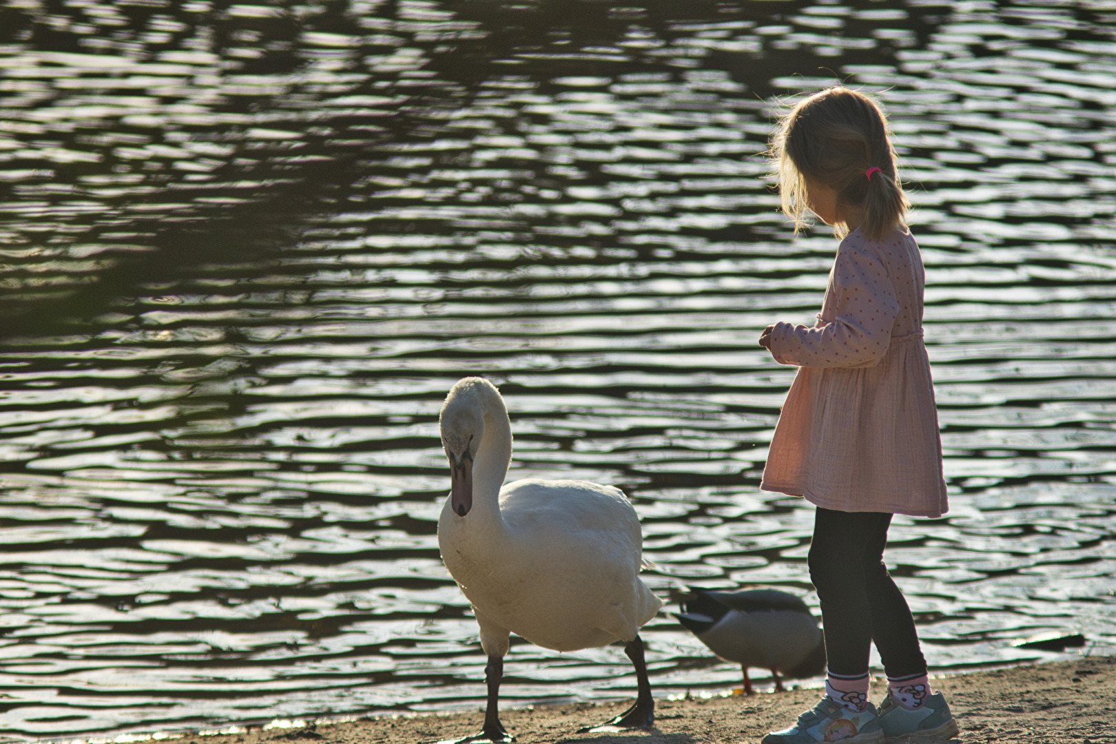 Kinder ab 2 Jahre