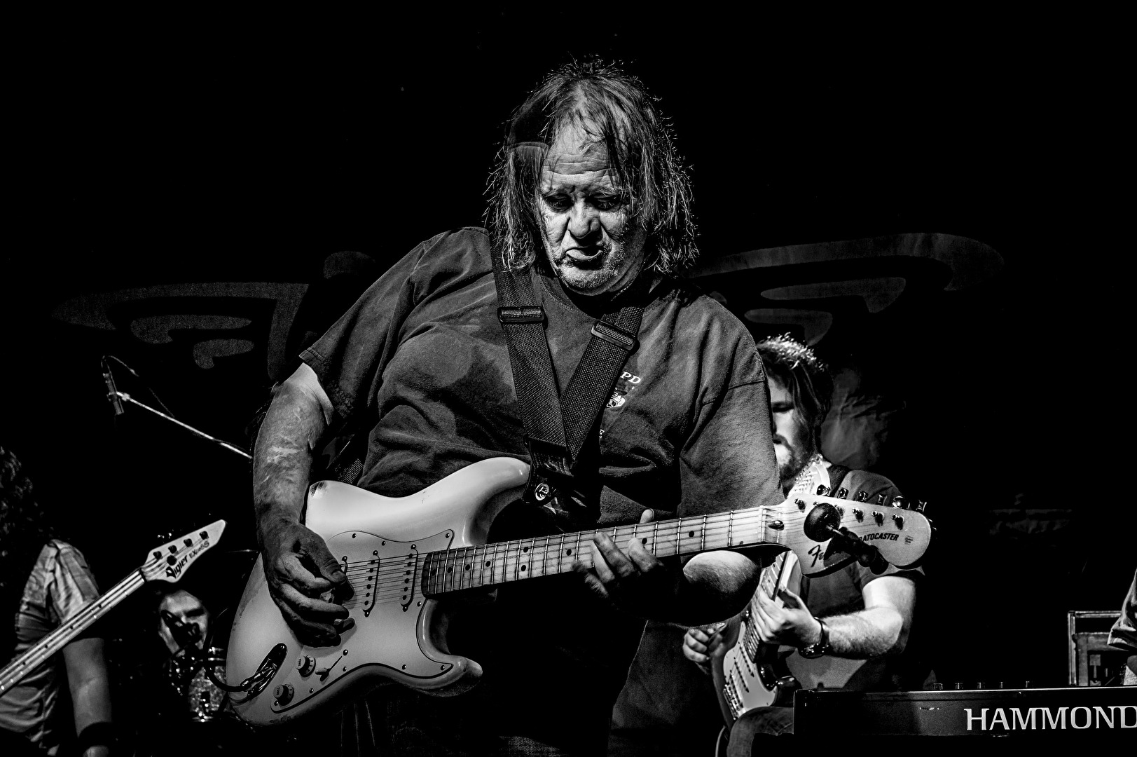 Walter Trout