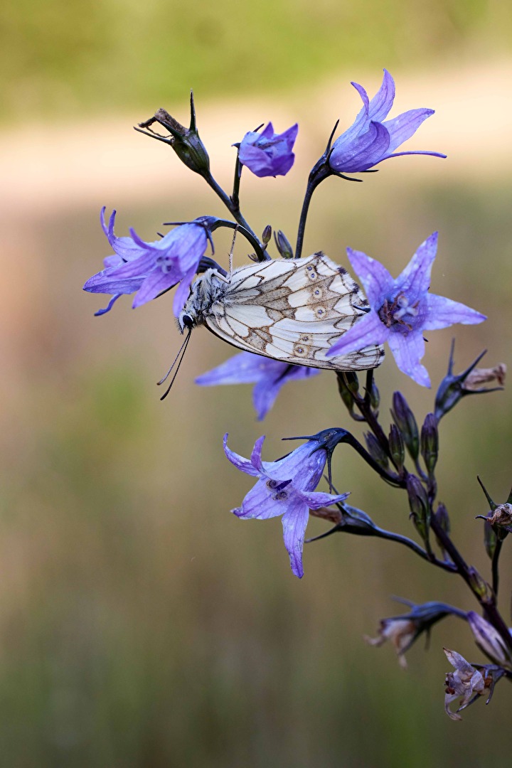 Einfach mal abhängen