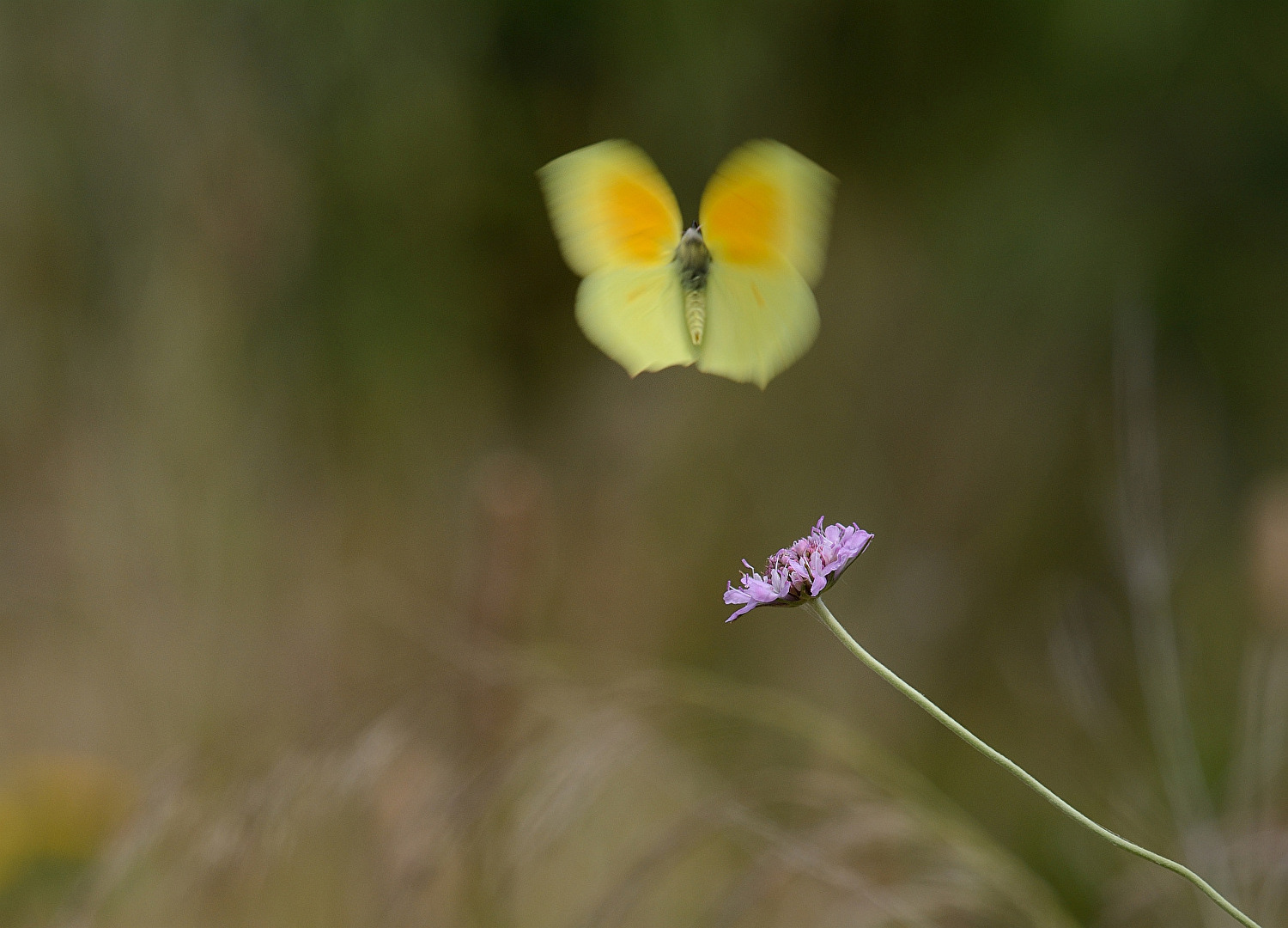 Gerade saß er noch da..