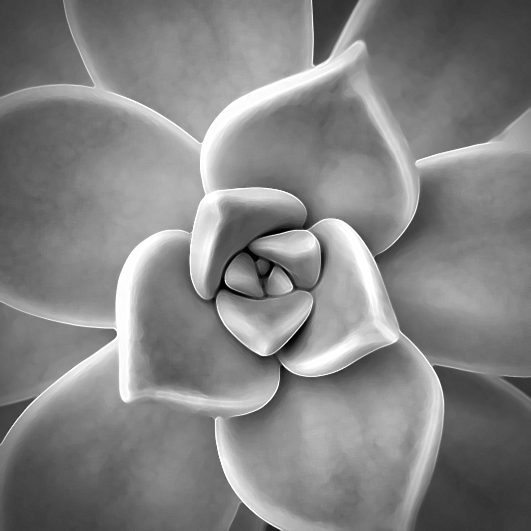 Monochrom ...gläserne Optik...