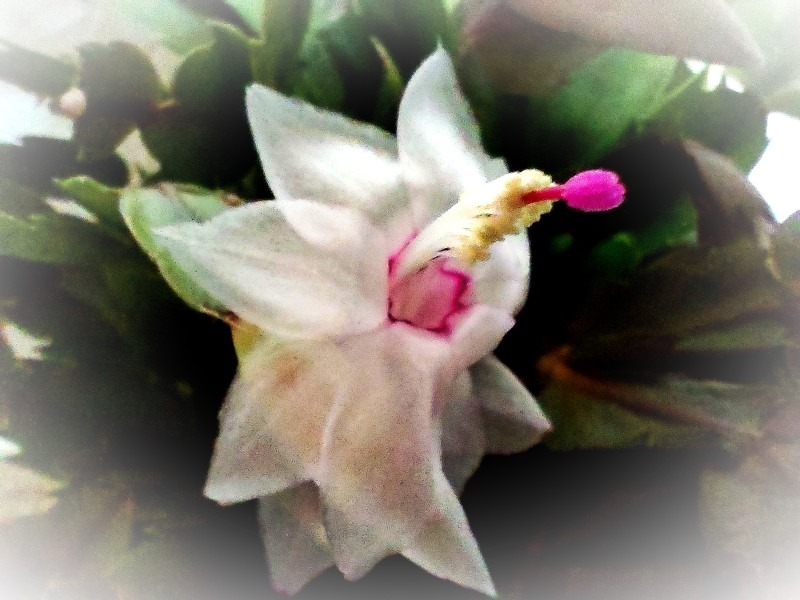 die etwas andere Aufnahme