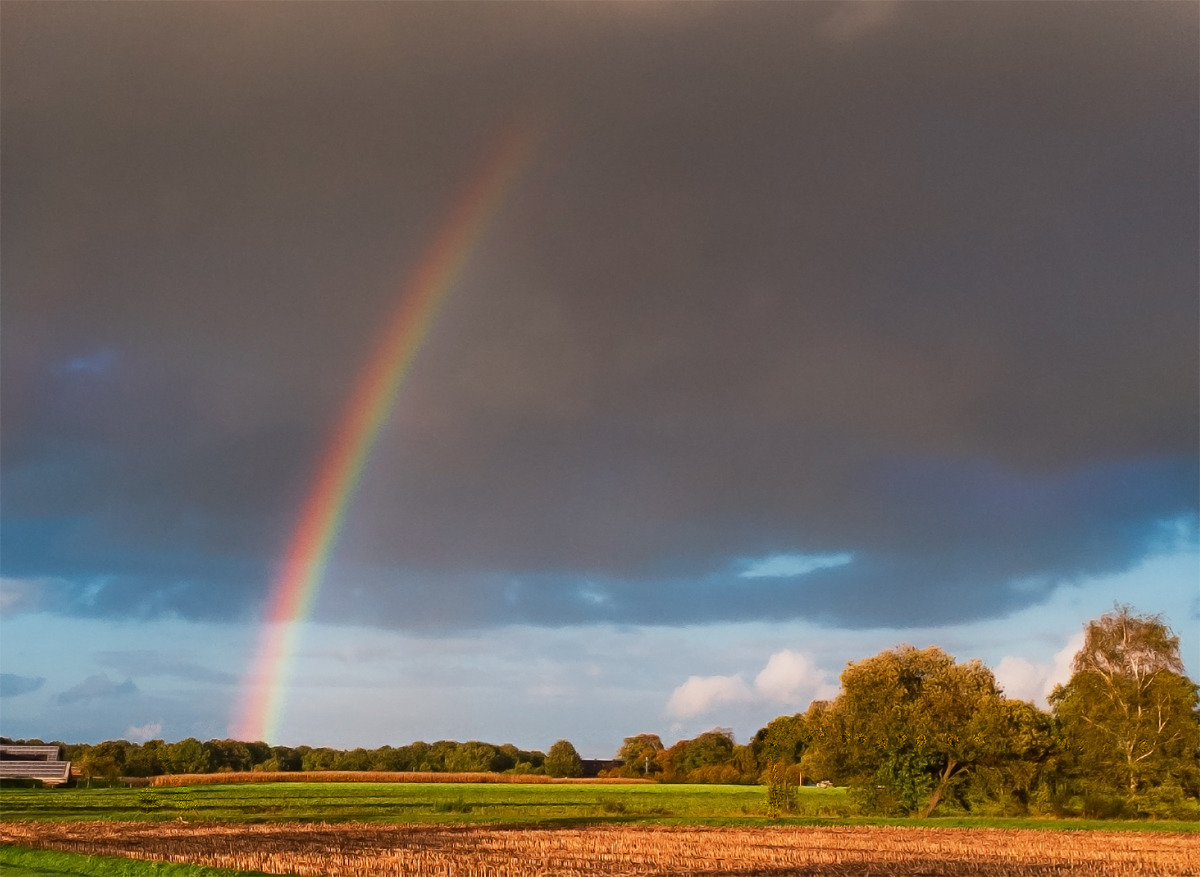 Regenbogen