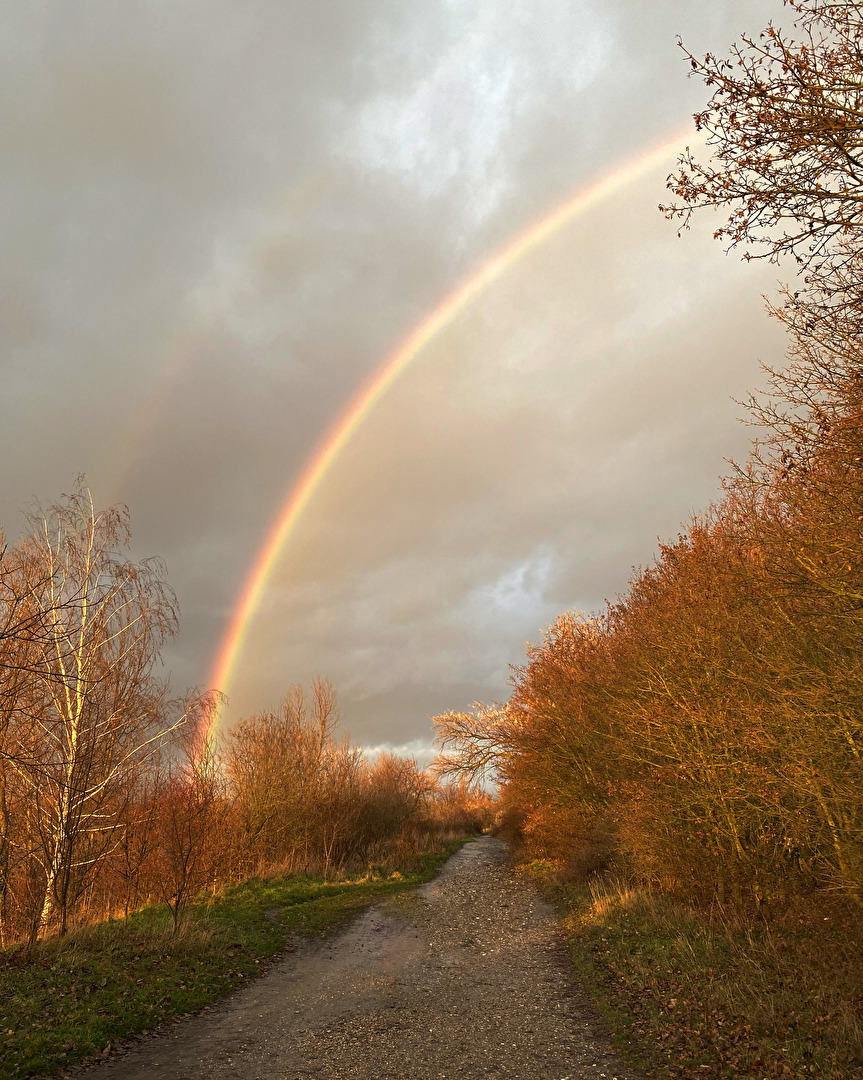 Regenbogen vor der Stadt