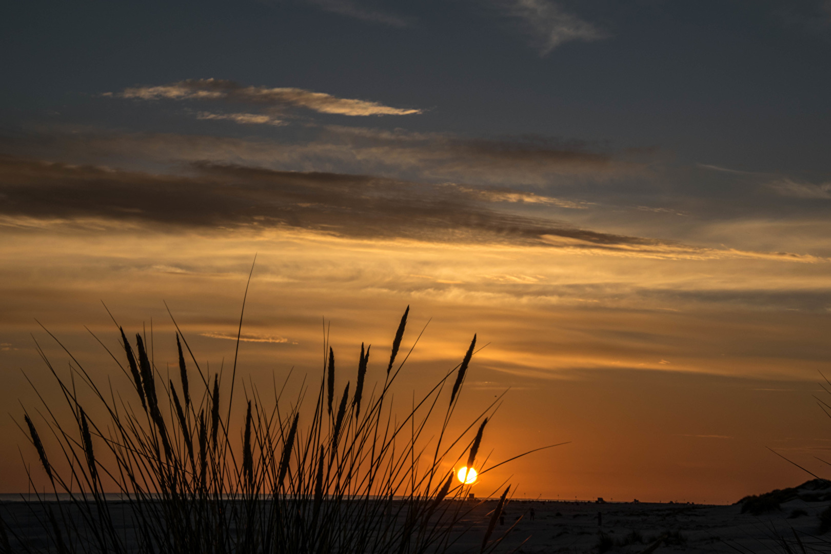 Amrum