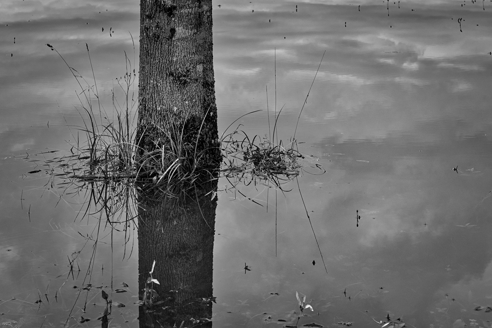 Hochwasser..