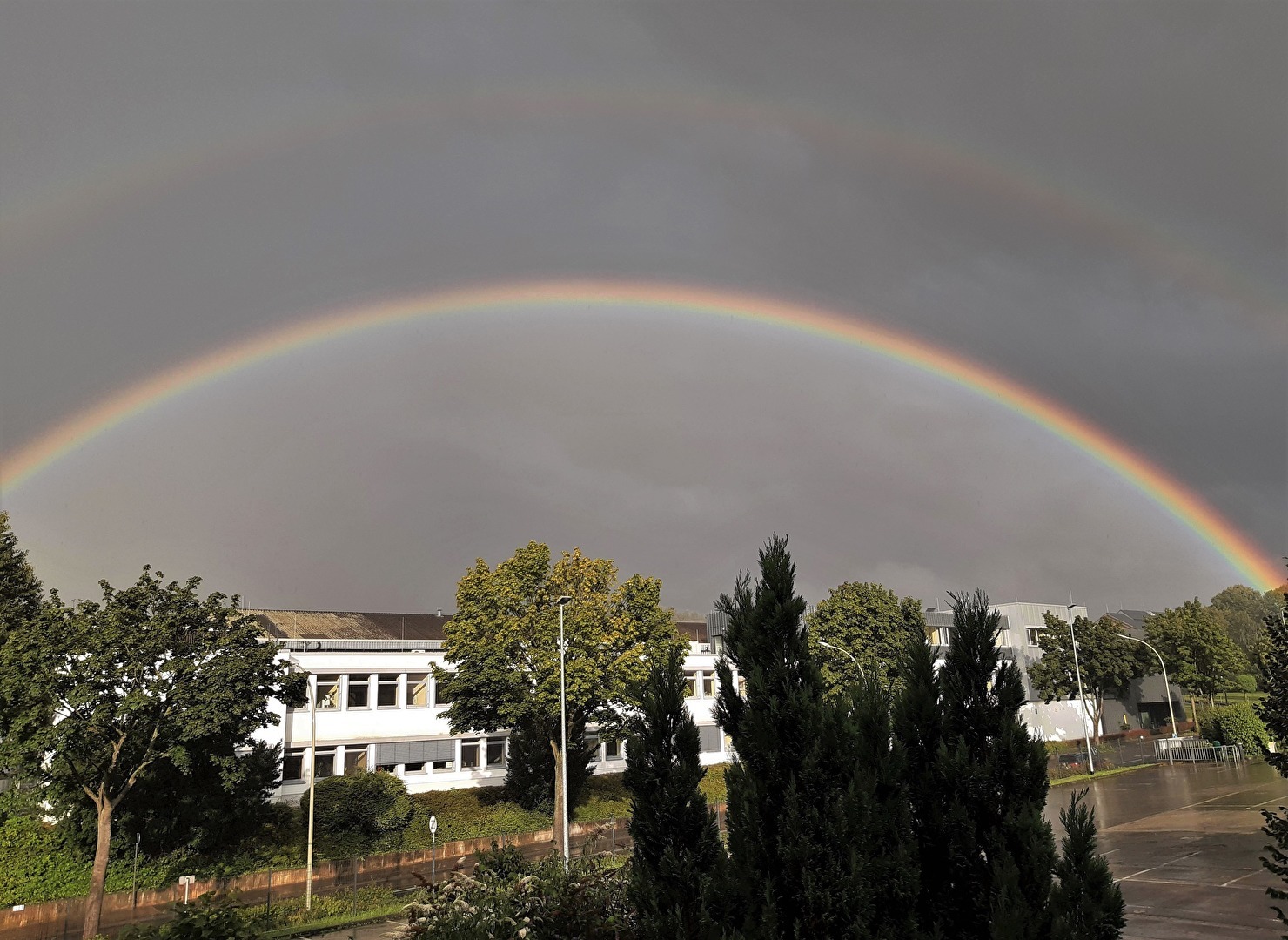 " Nach dem Regen "