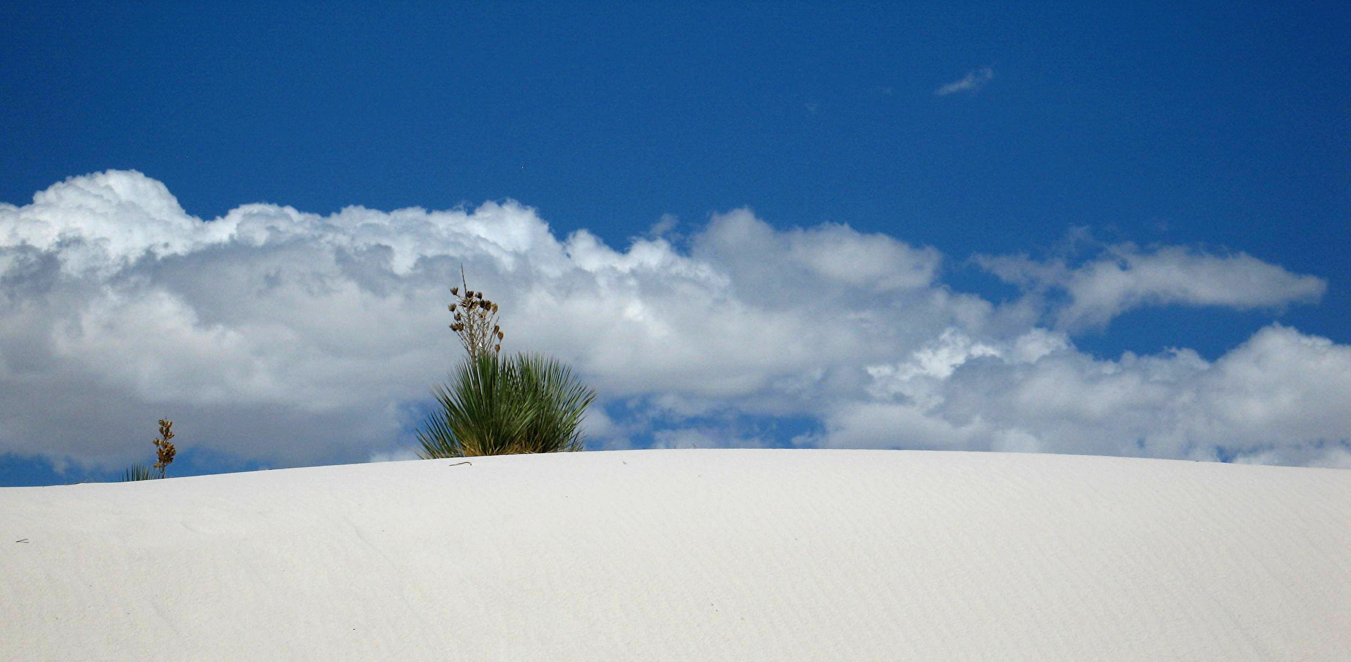White Sands, New Mexico/USA