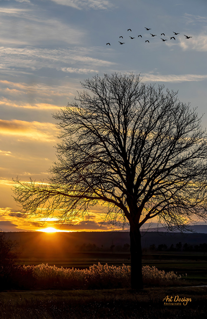 Sonnenuntergang beim "Heilsamen Brunnen"