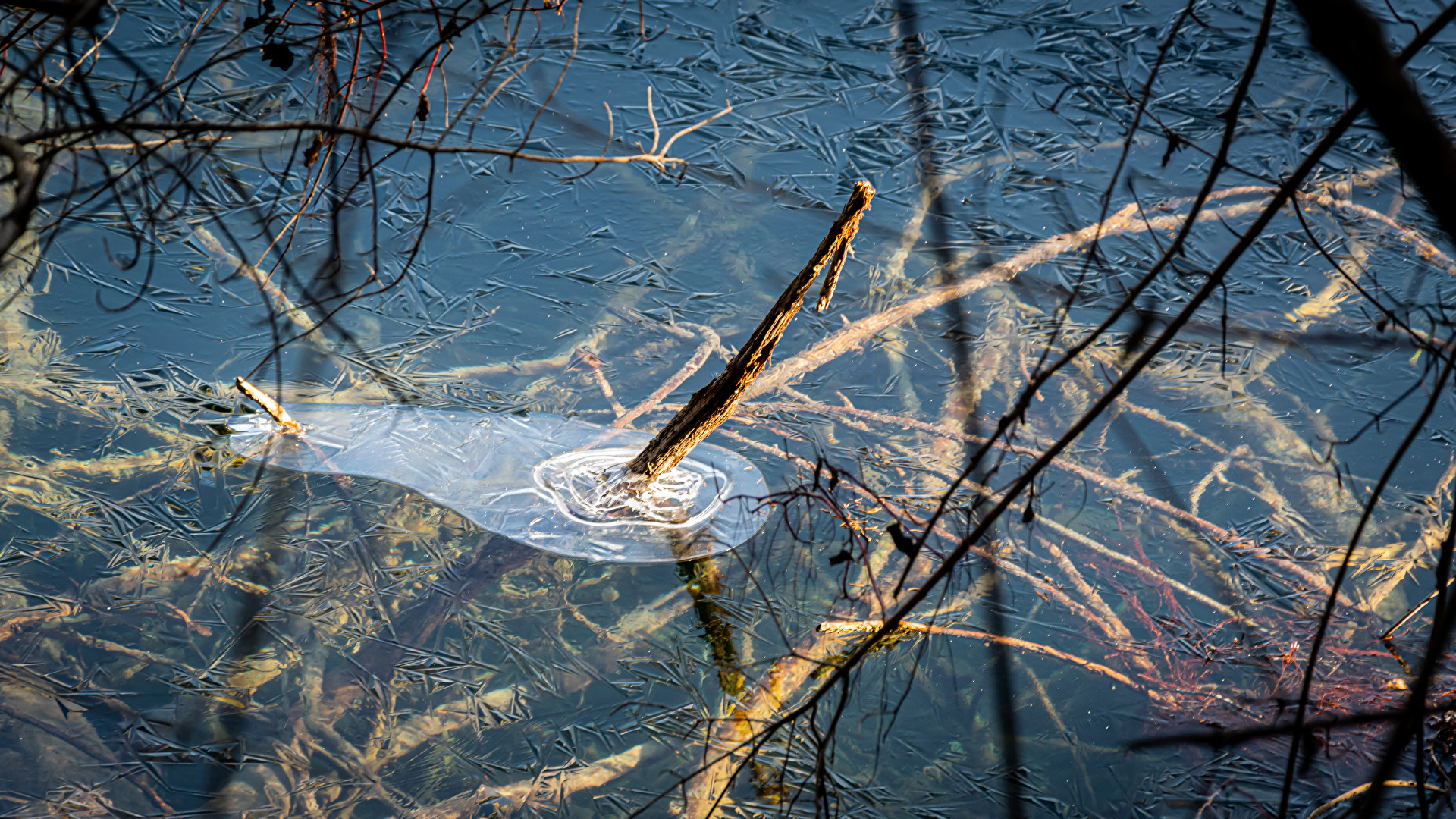 Eisbildung am Baggersee