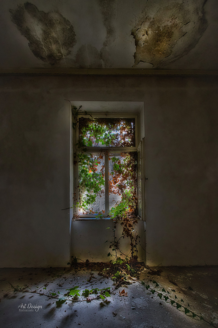 Ein Leben im Einklang mit der Natur �