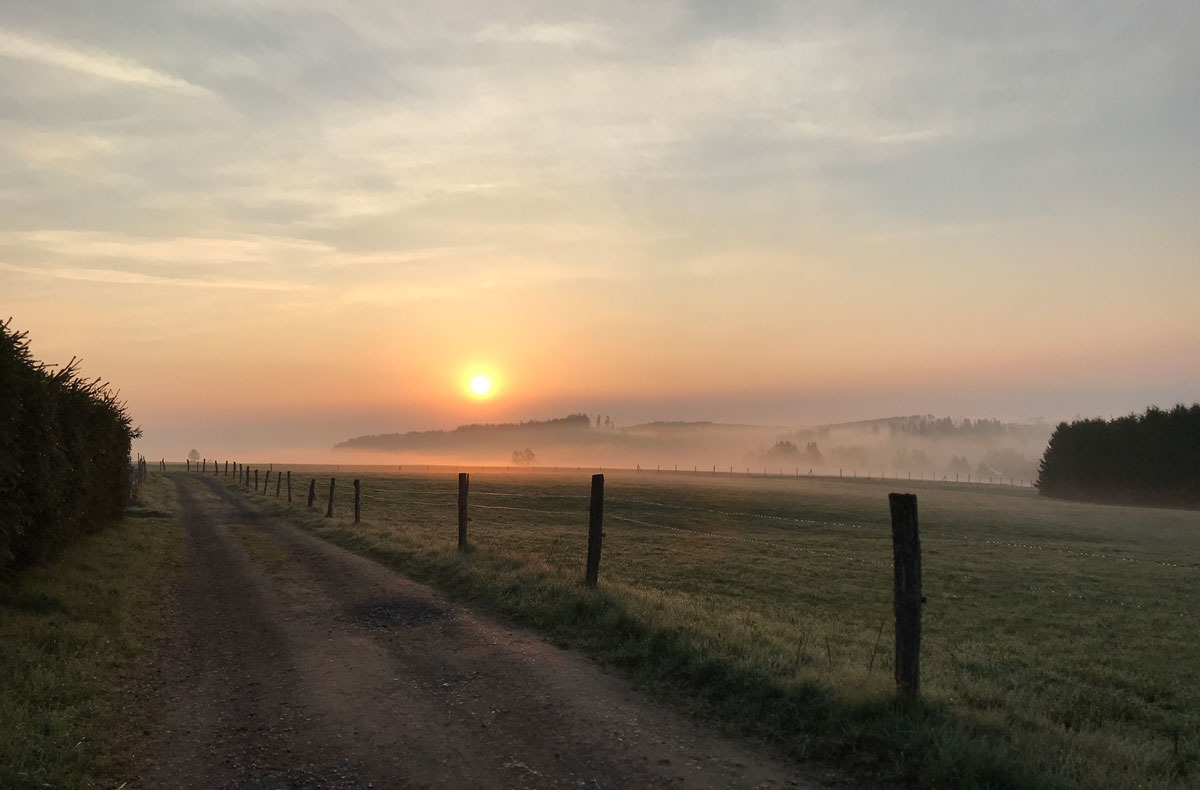 Jeden morgen geht die Sonne auf,...