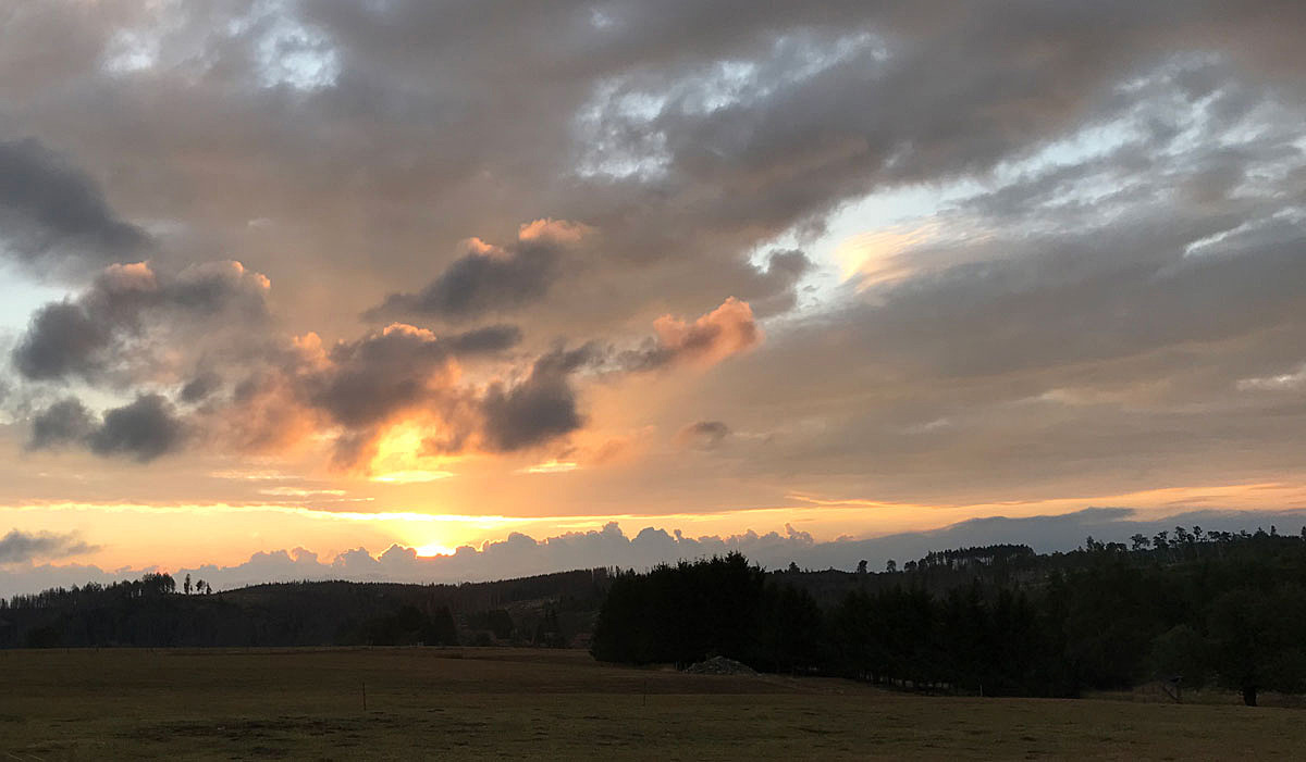 Der Himmel über Tanne...