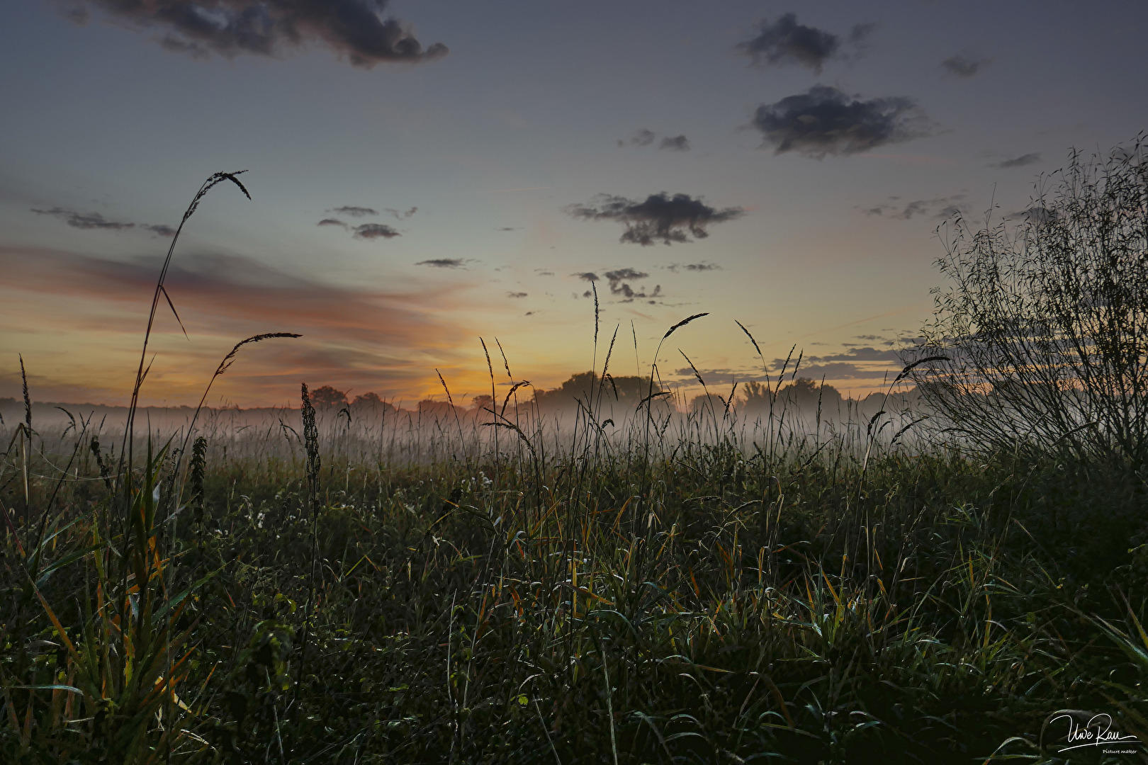 Sonnenaufgang in den Elbauen um Dessau