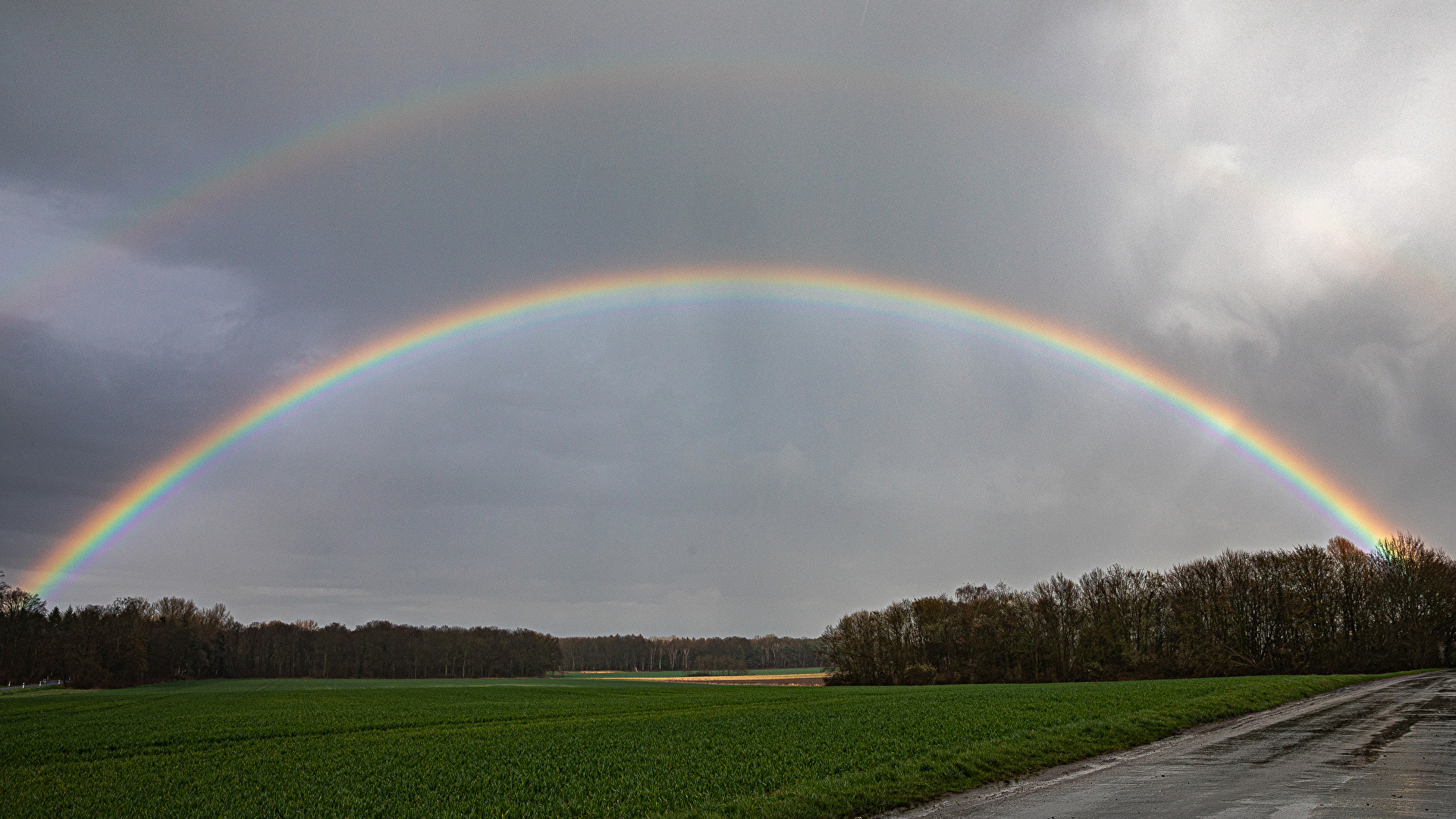 Regenbogen