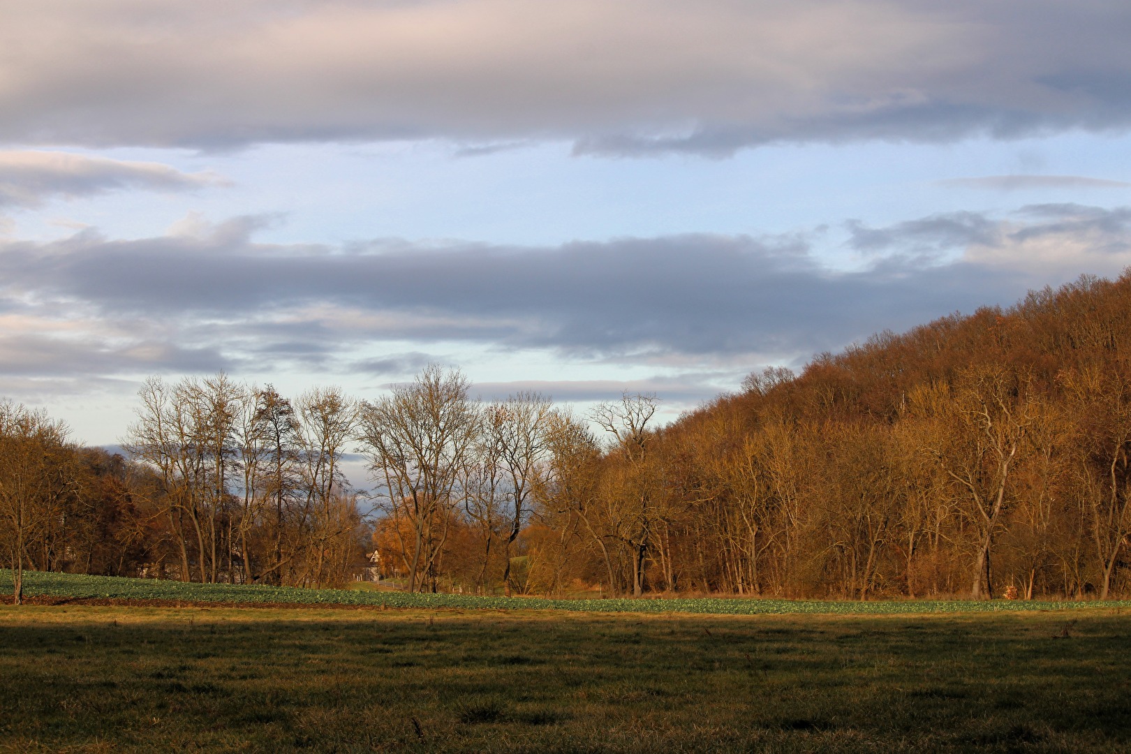 Die Sonne kommt durch