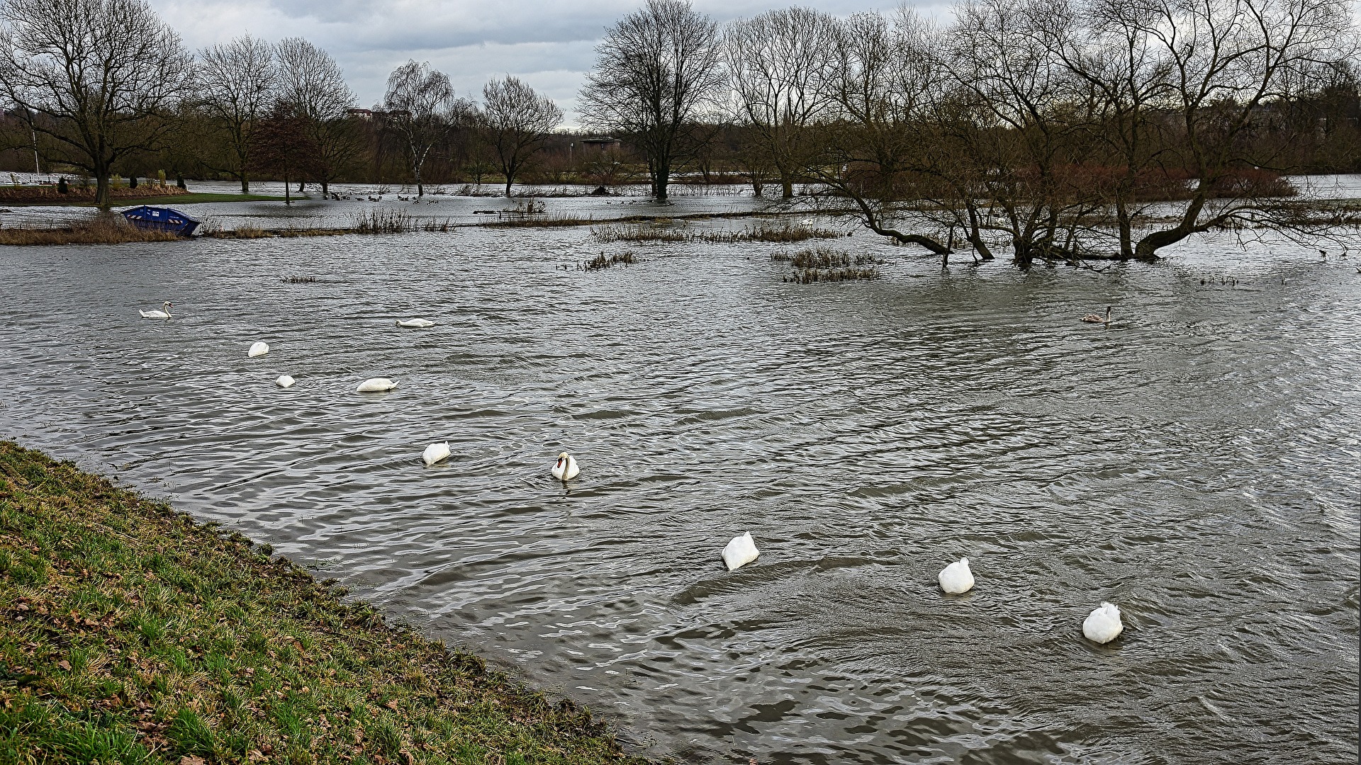 Abtauchen in 2024 ist auch keine Lösung