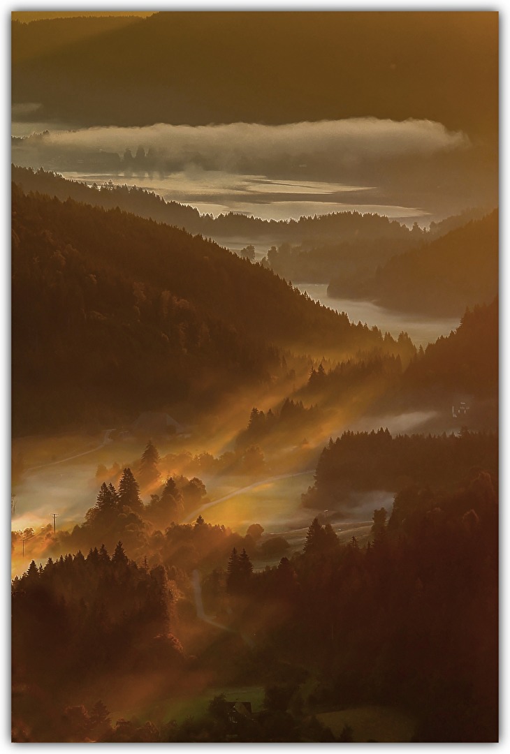 Sonnenaufgang am Titisee / Schwarzwald