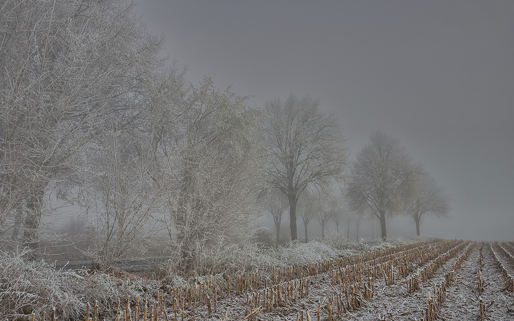 #Nebel