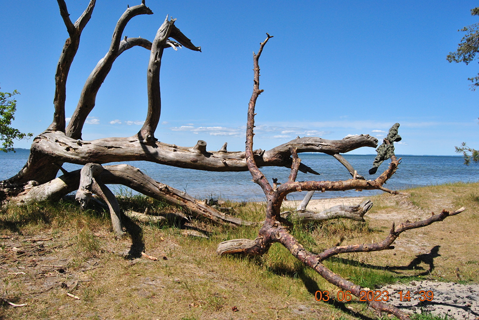 Vergängliches in der Natur Nr1