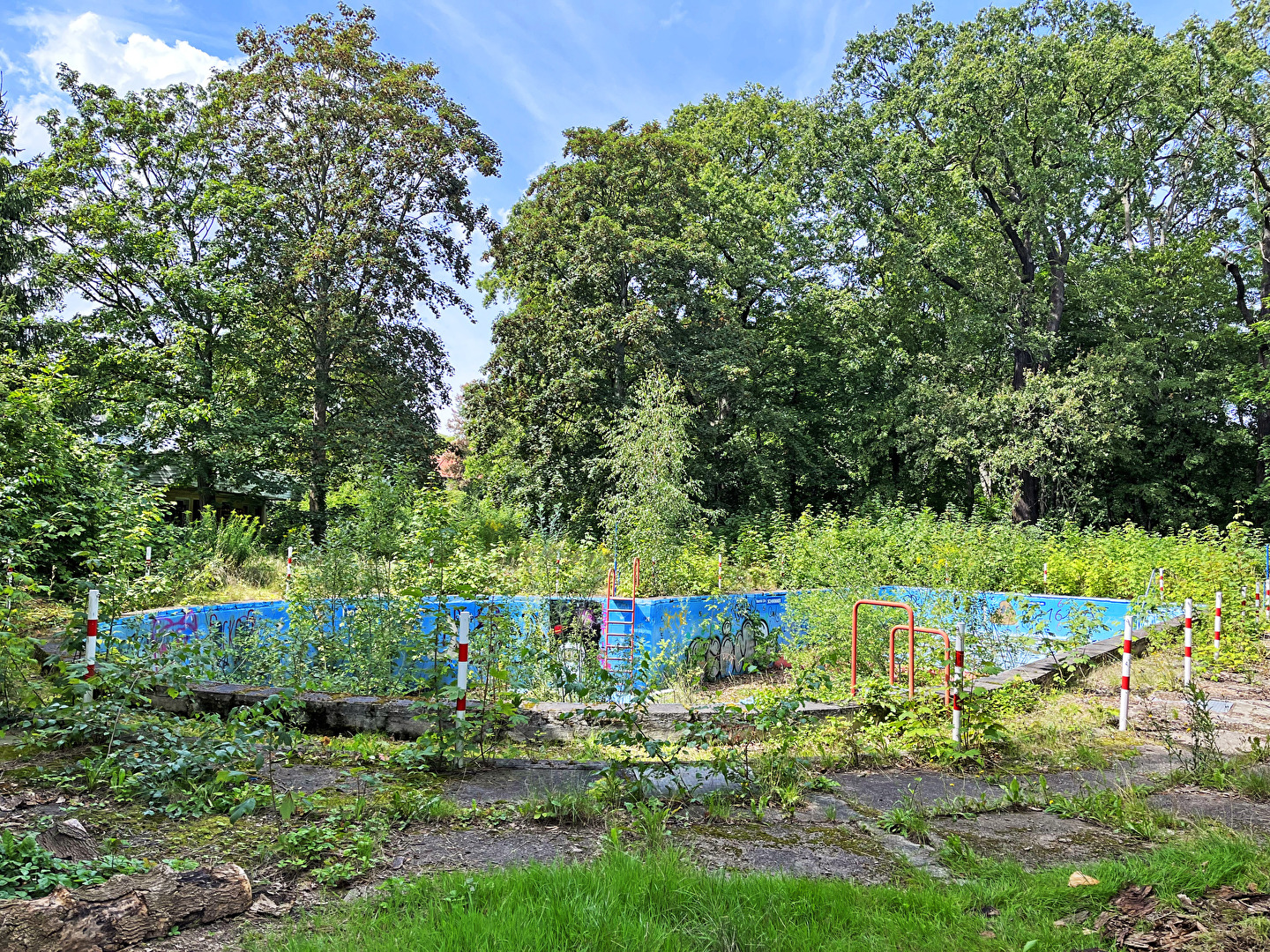 Wildnis, die Natur holt sich ihren Lebensraum zurück...