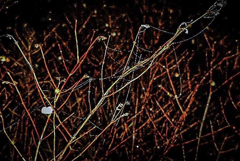 #Tagesthema #Glitzerwelt #Glitzer #wiekleinePerlen