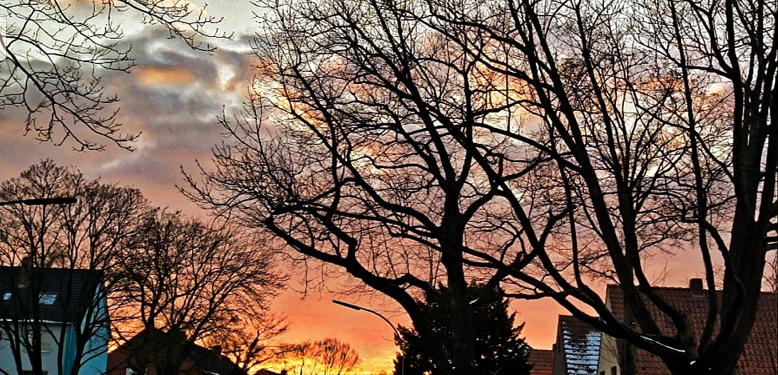 Sundown in winter