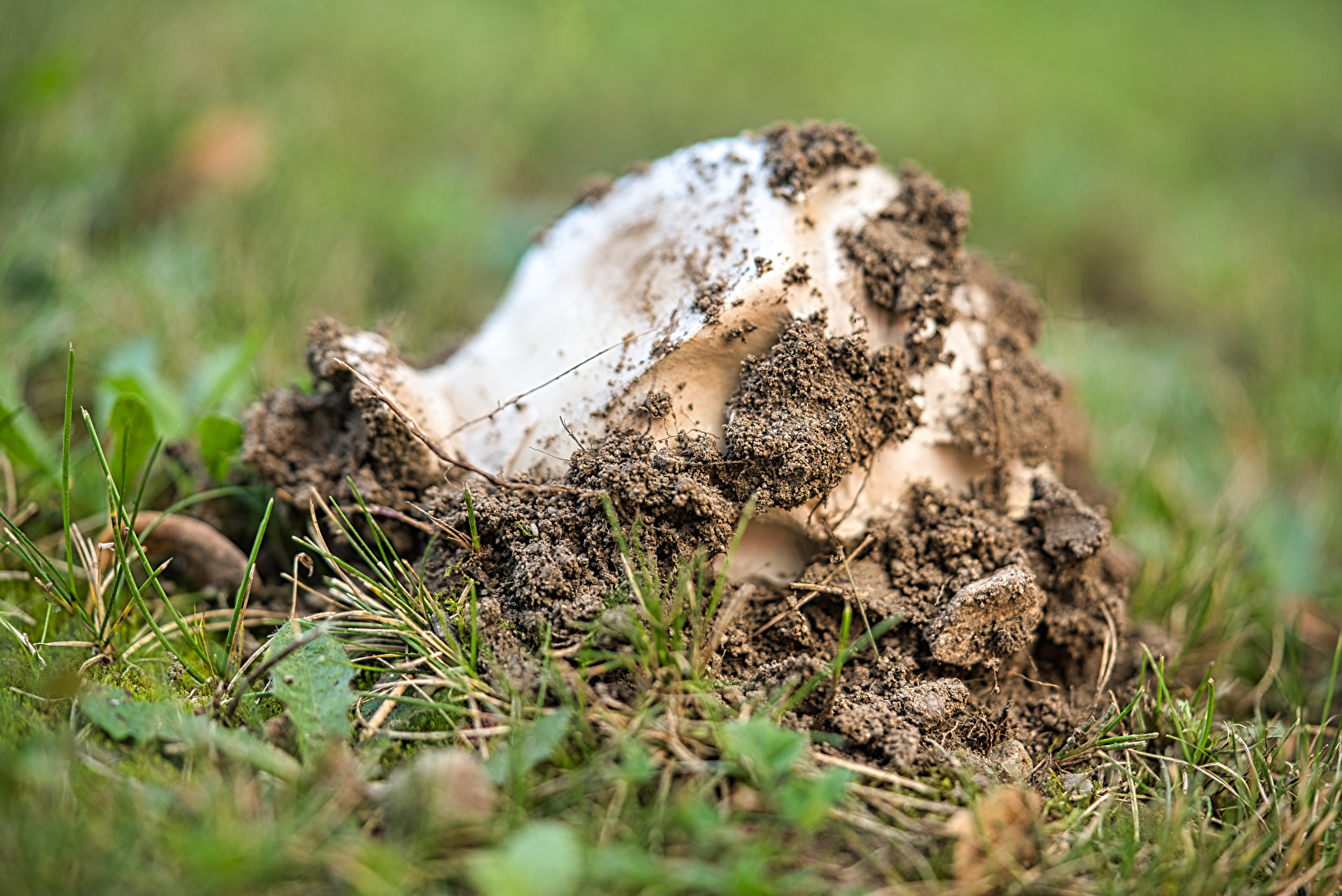 Tag  1 Die Kraft der Natur