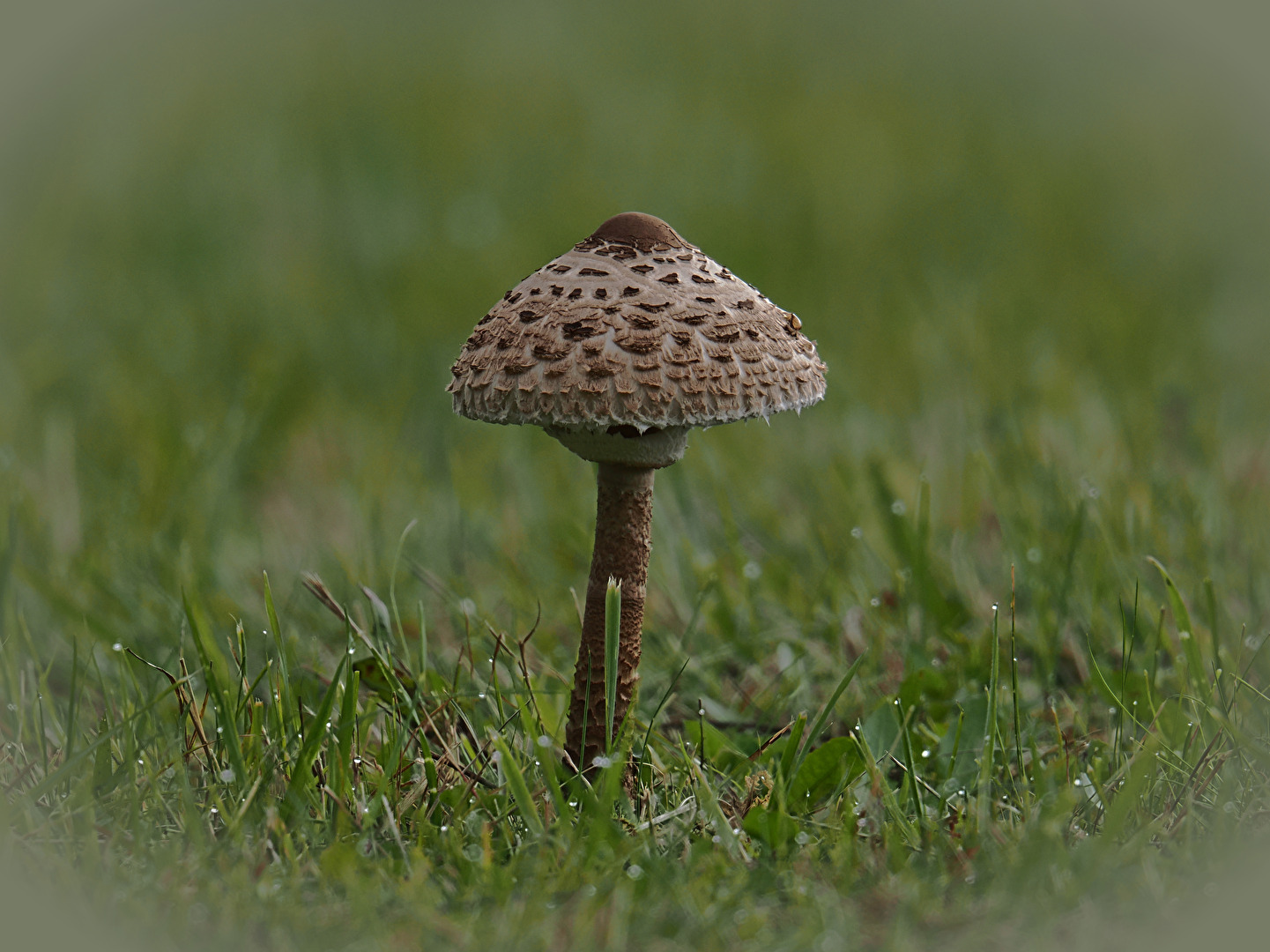 ...es geht so langsam los (2)