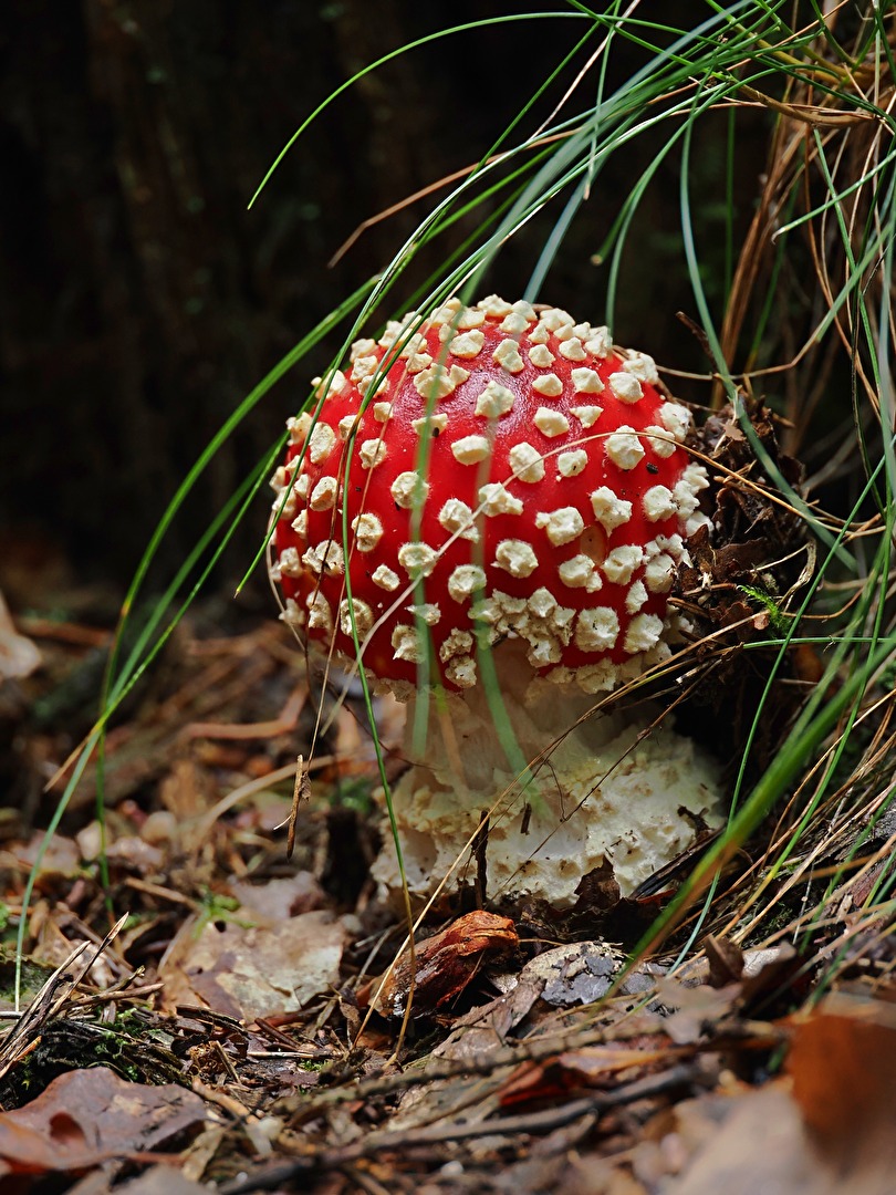 ...es geht so langsam los (3)