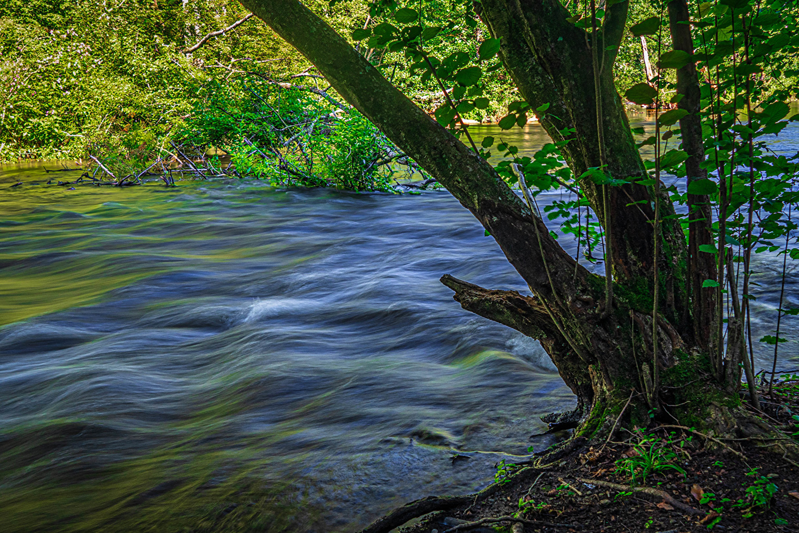 Die Würm bei Gauting, Bayern