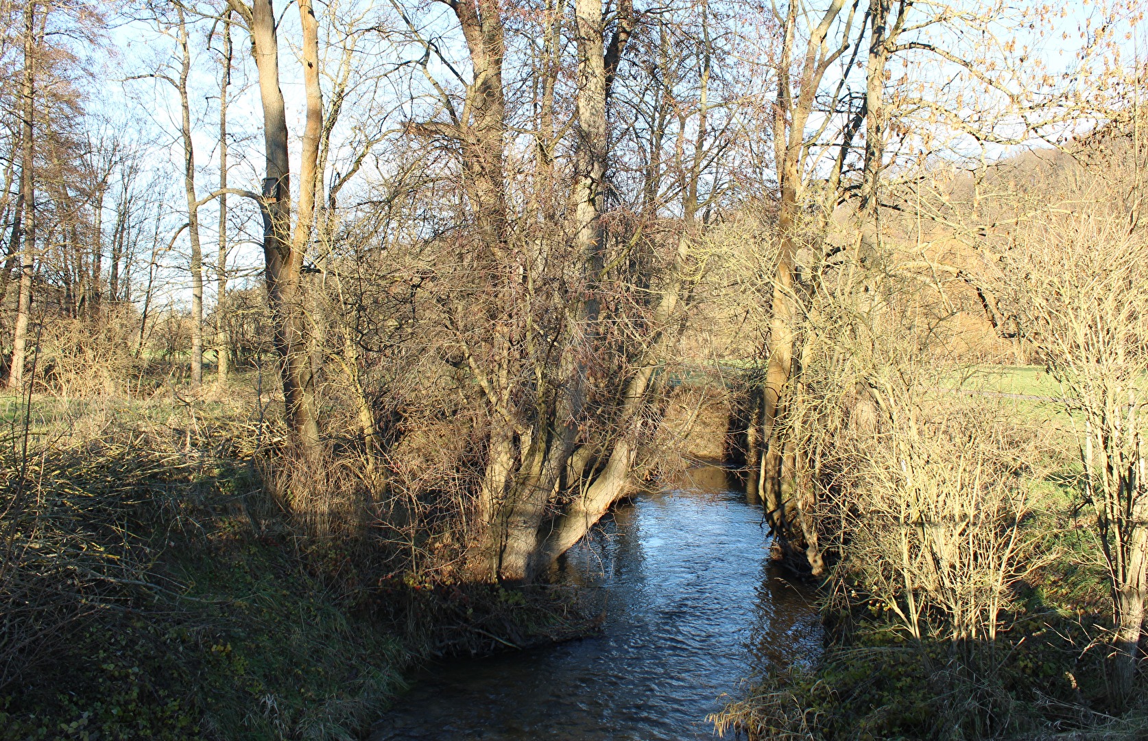 Die Wethau bei Wetterscheidt