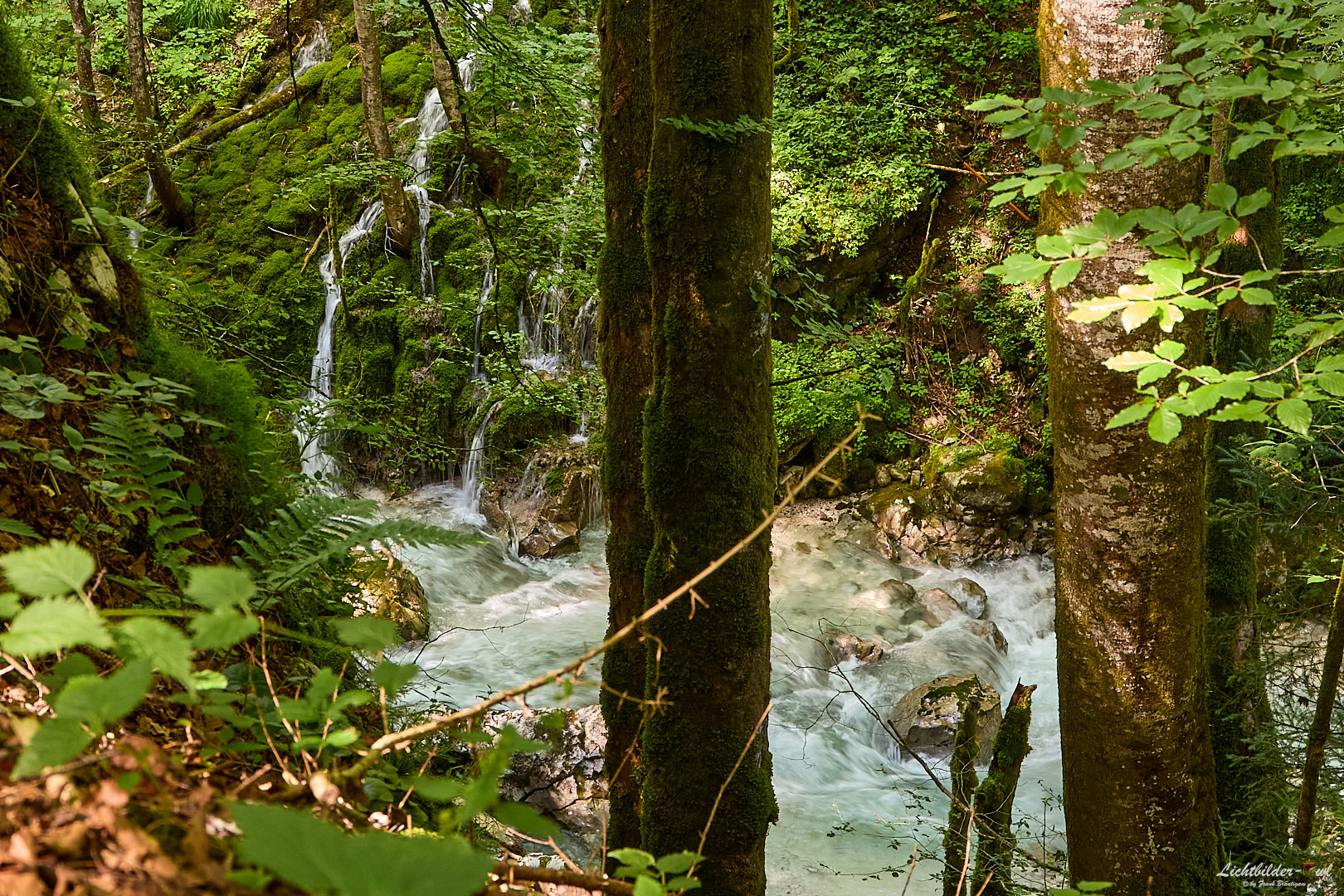 Wildwasser