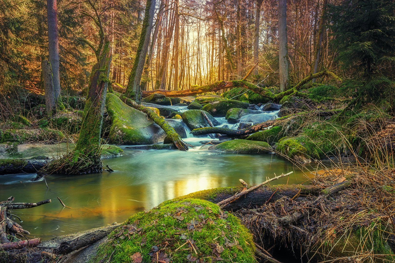 Morgens im Leraubachtal
