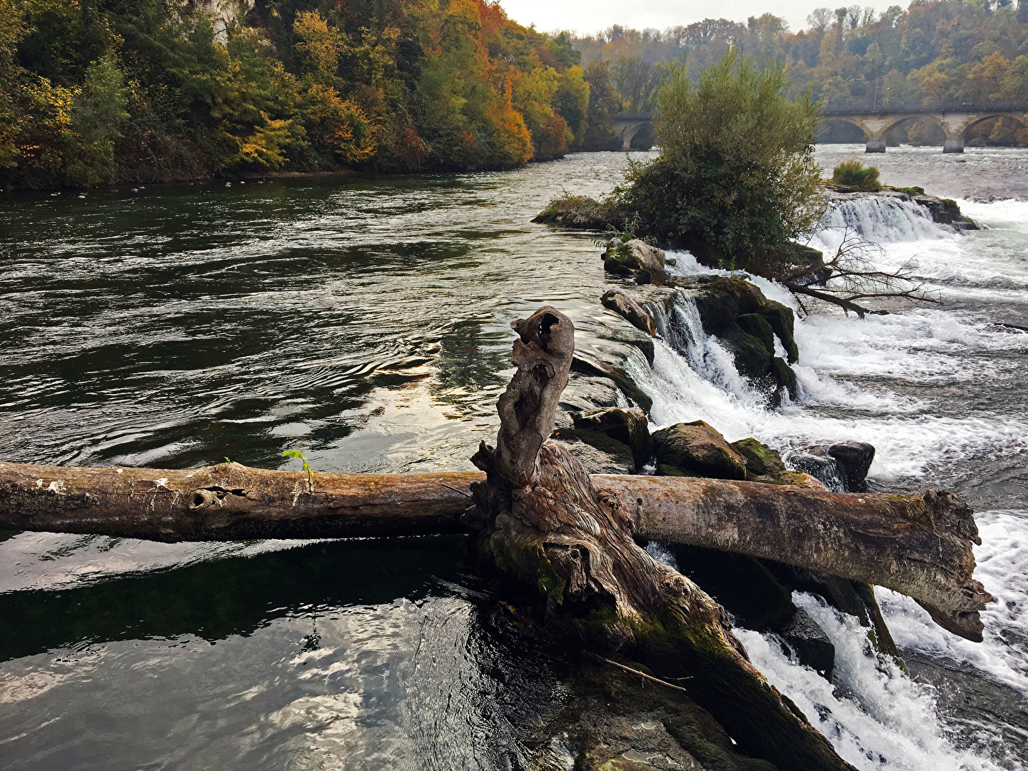 #Wasserfall am Rheinfall Schaffhausen