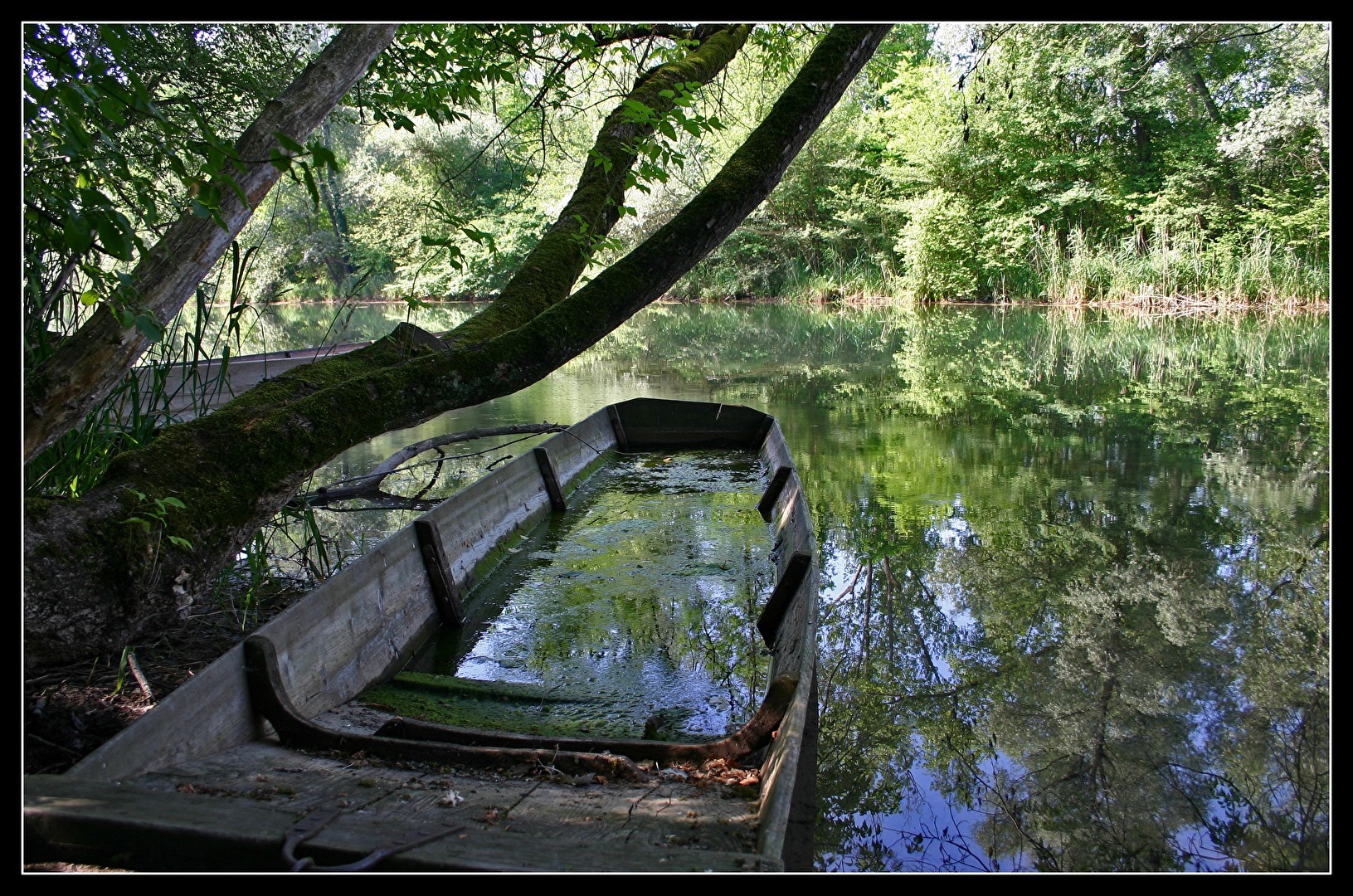 Unterwegs im Taubergießen