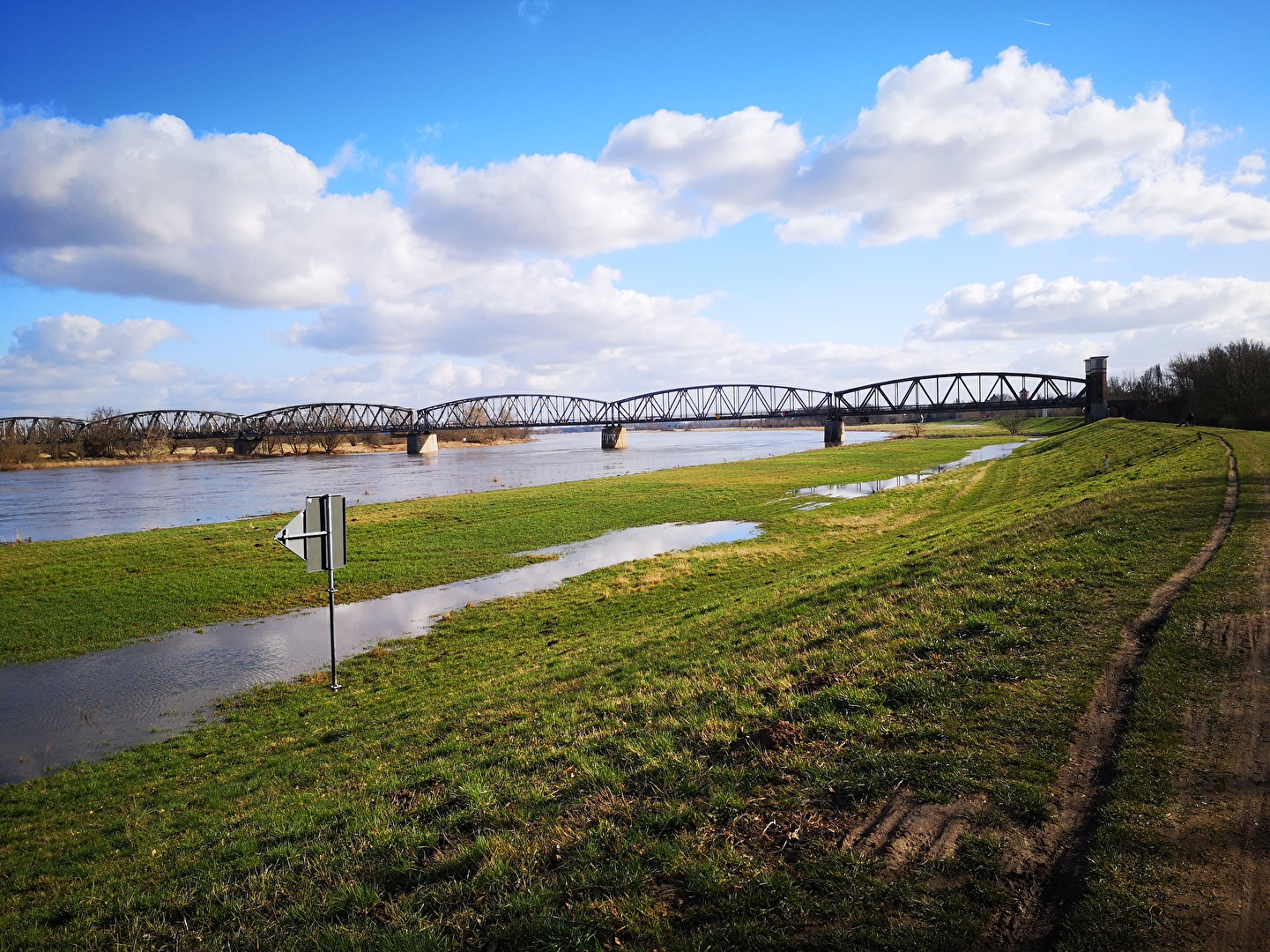 Brücke, Elbe und Deich