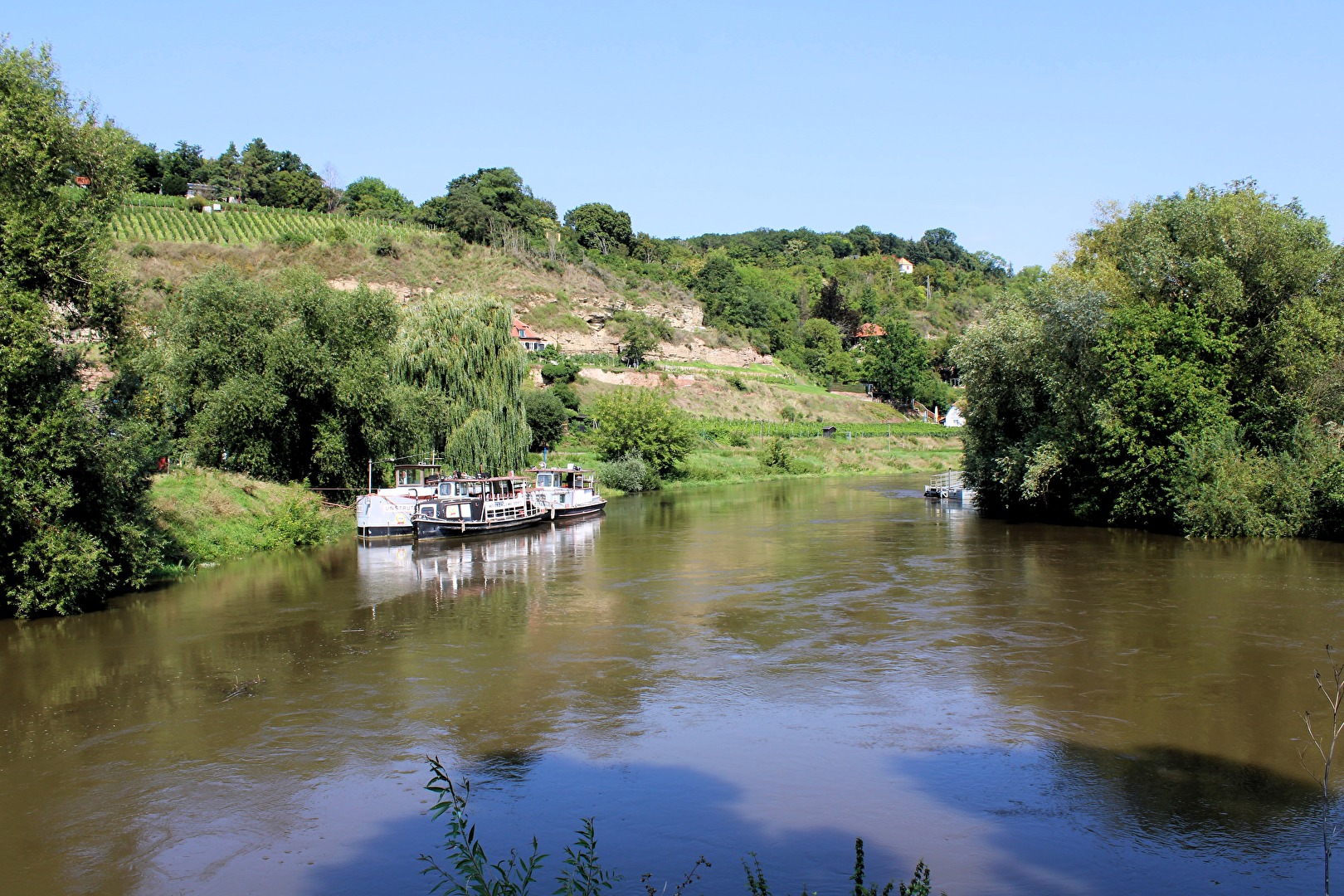 Der Zusammenfluss von Saale und Unstrut bei Naumburg