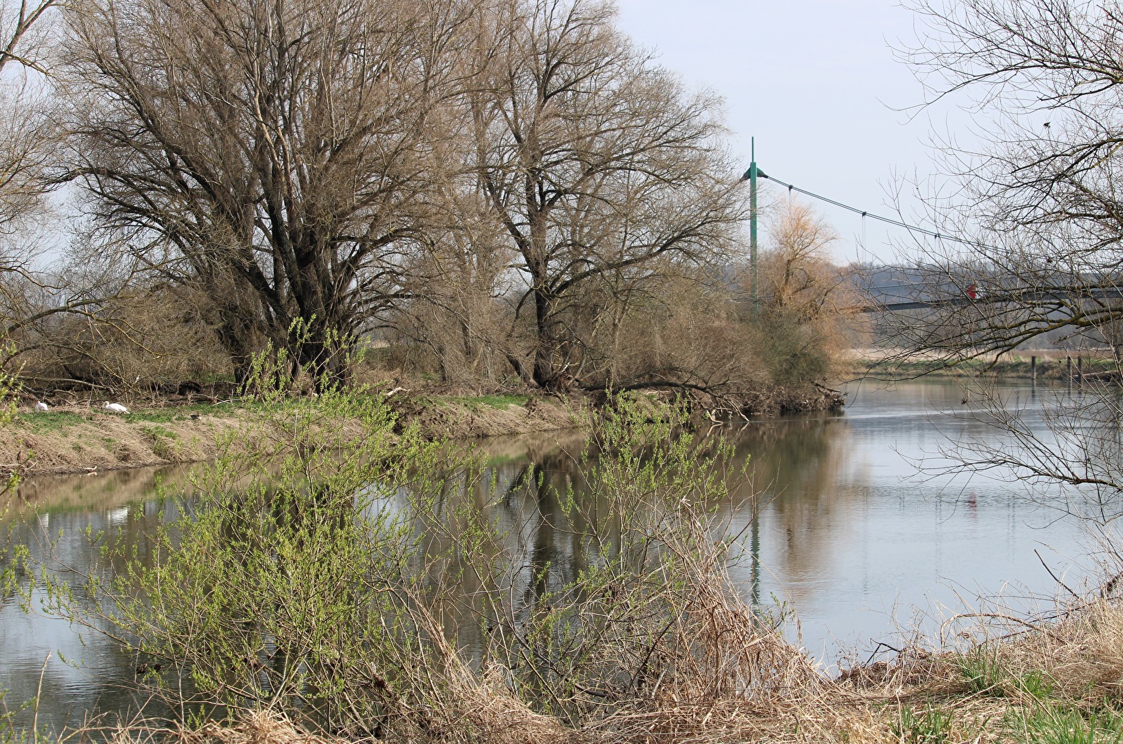 Die Saale bei Leißling