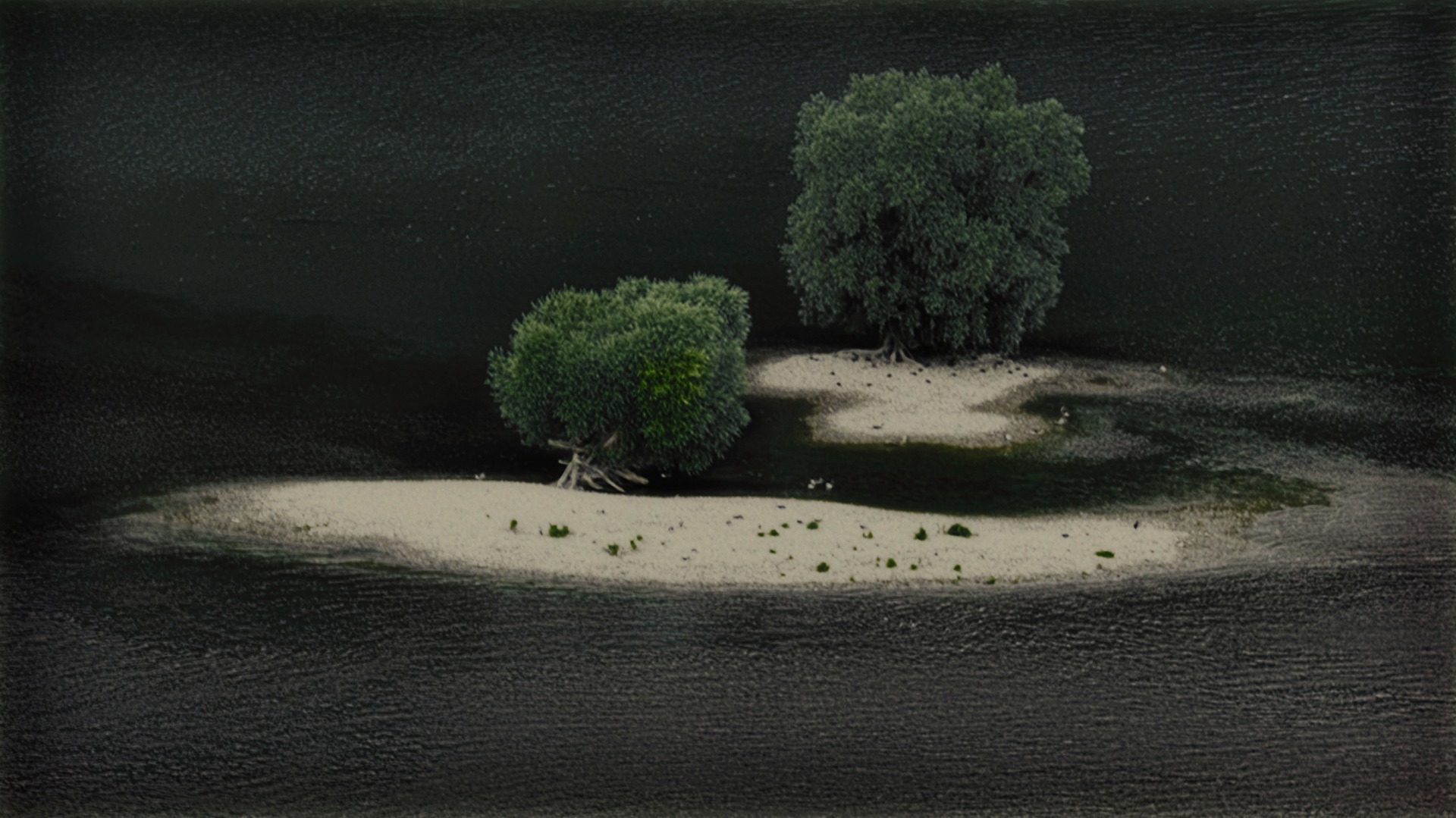 Sandbank