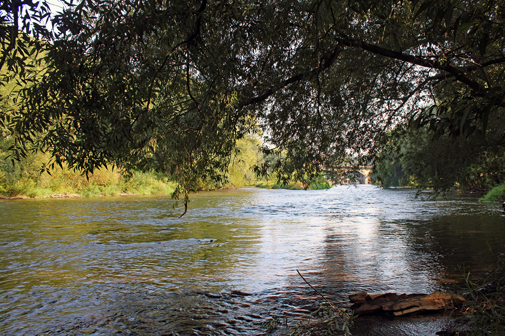 Die Saale in Bad Kösen