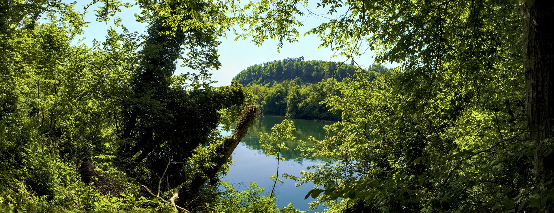 Am Rhein