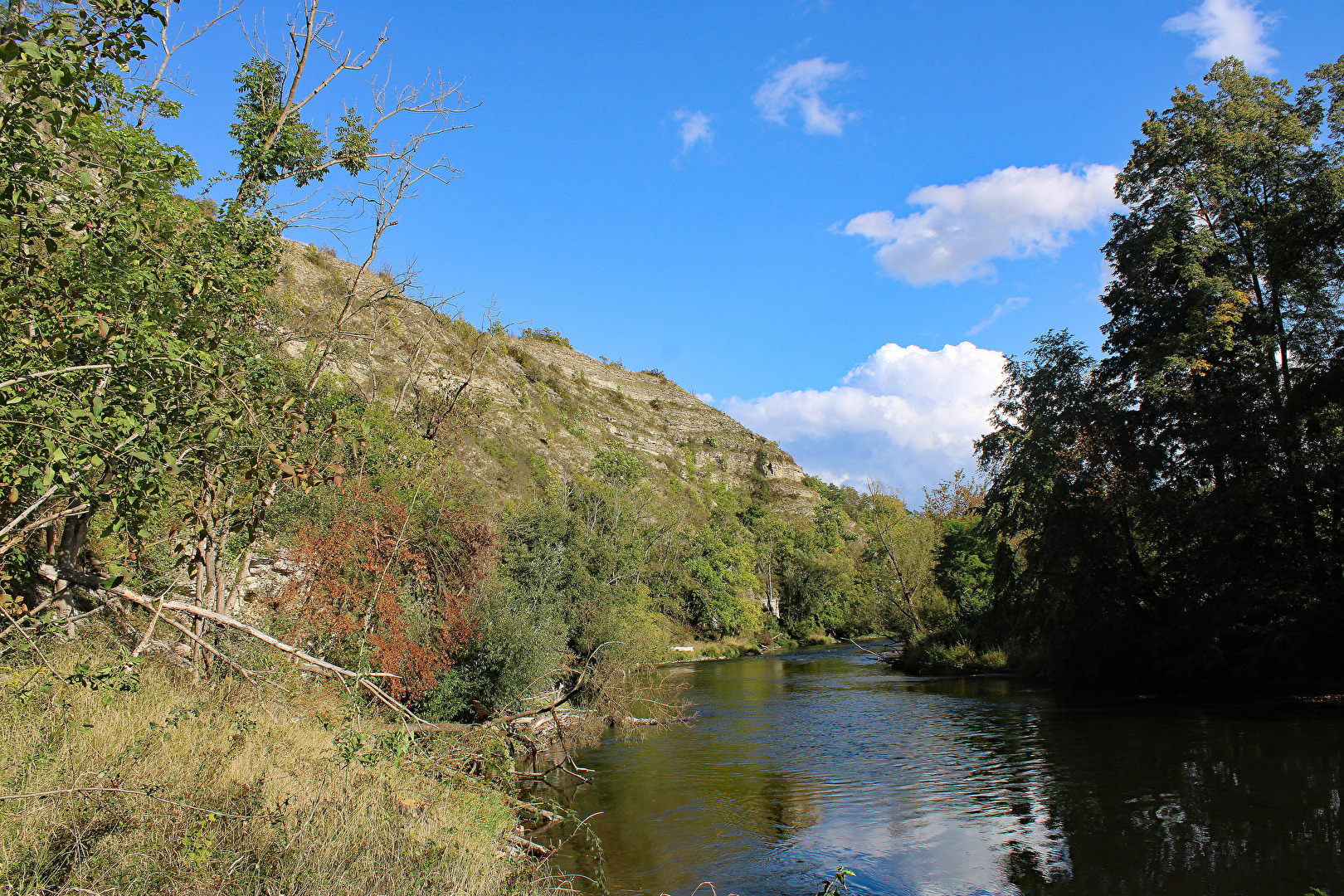 Die Saaleschleife bei Saaleck