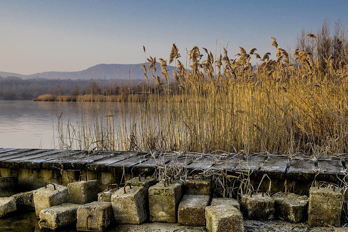 Am Olbersdorfer See