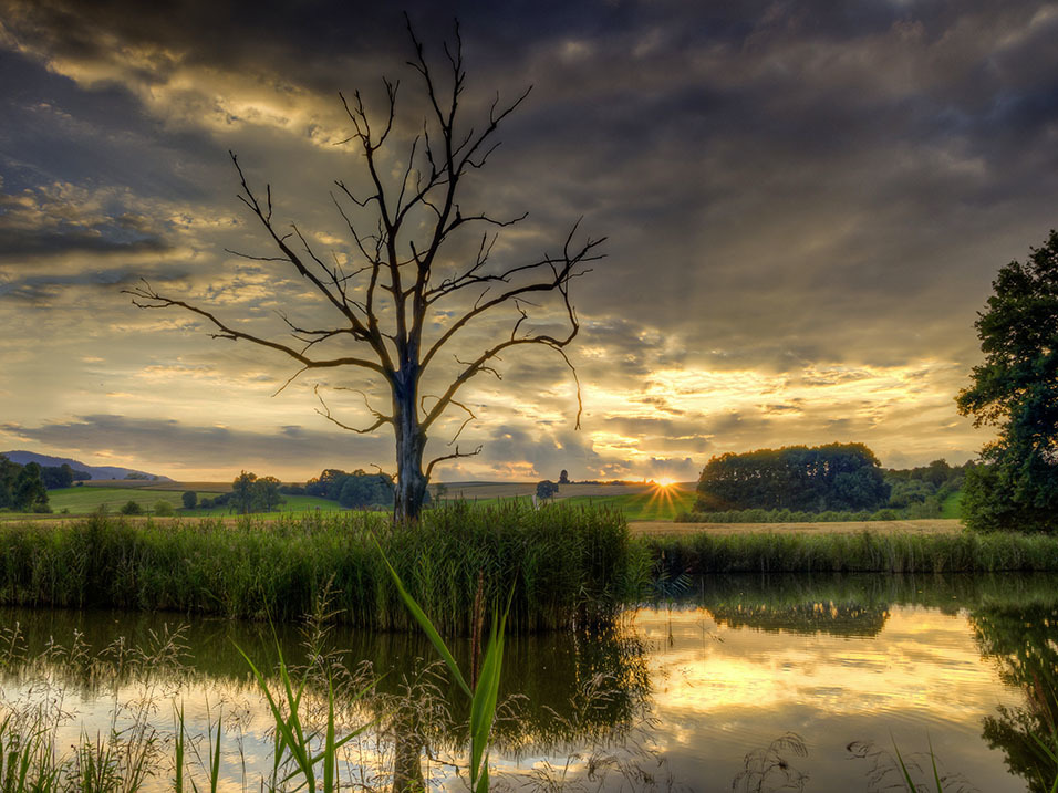 Bei den Kaiserfeldern bei Zittau.