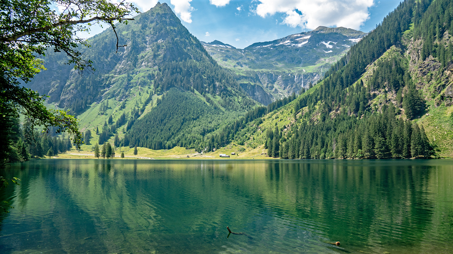 Der  Schwarzensee