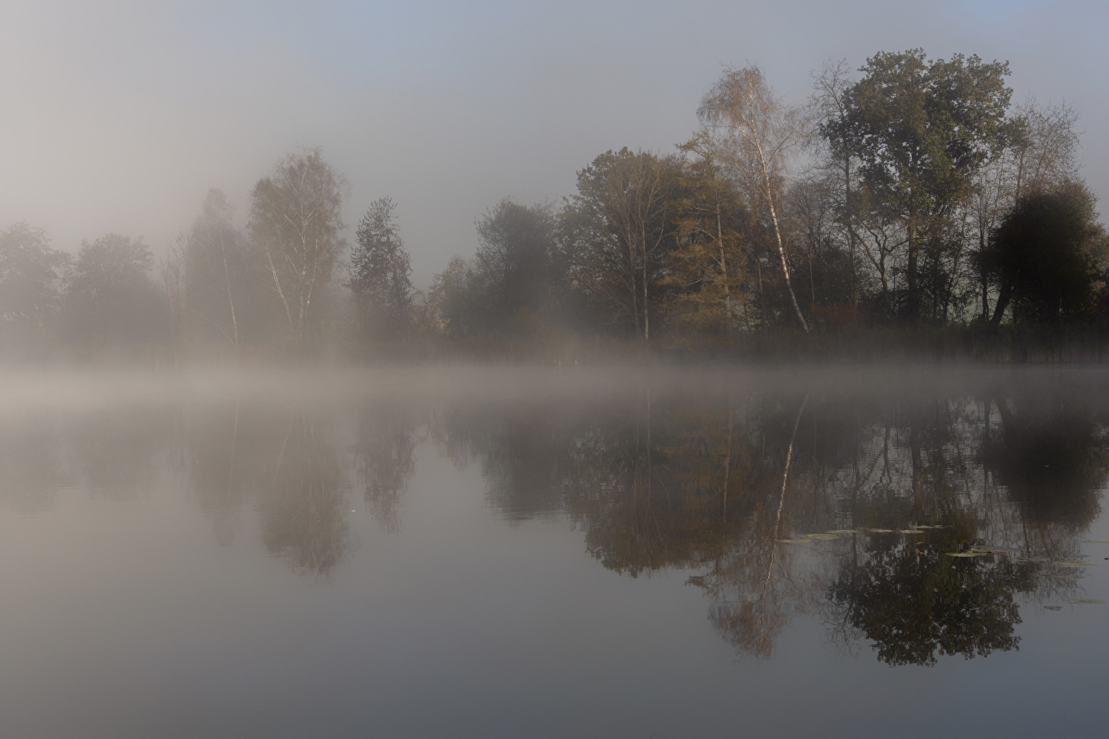 Morgennebel..