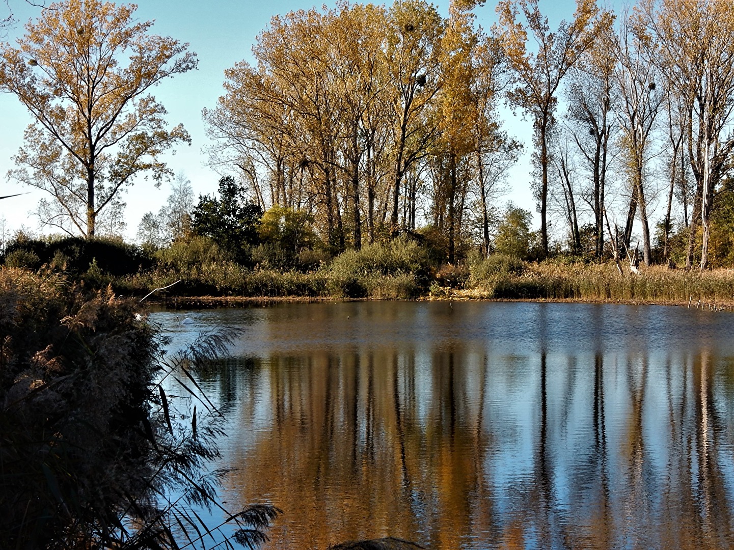 Stille am Angelteich